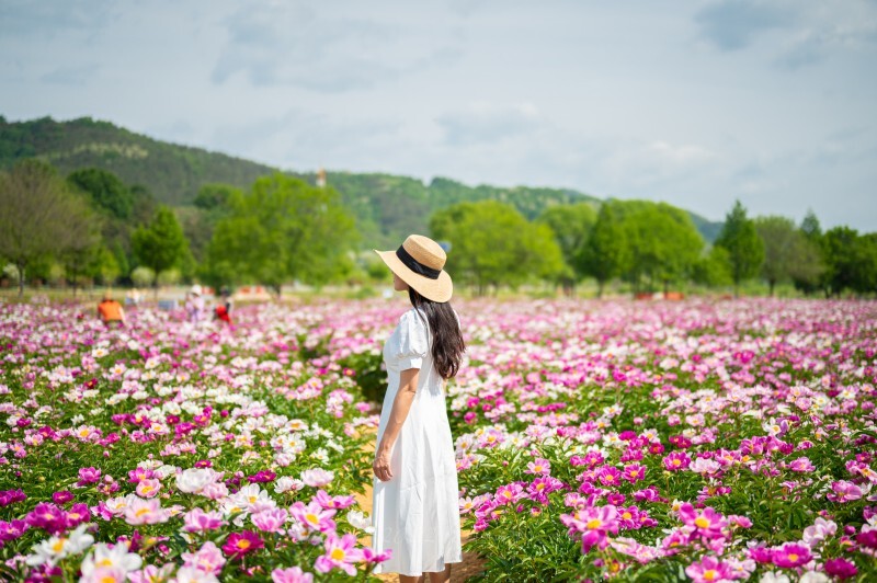 5월 가볼만한 여행지