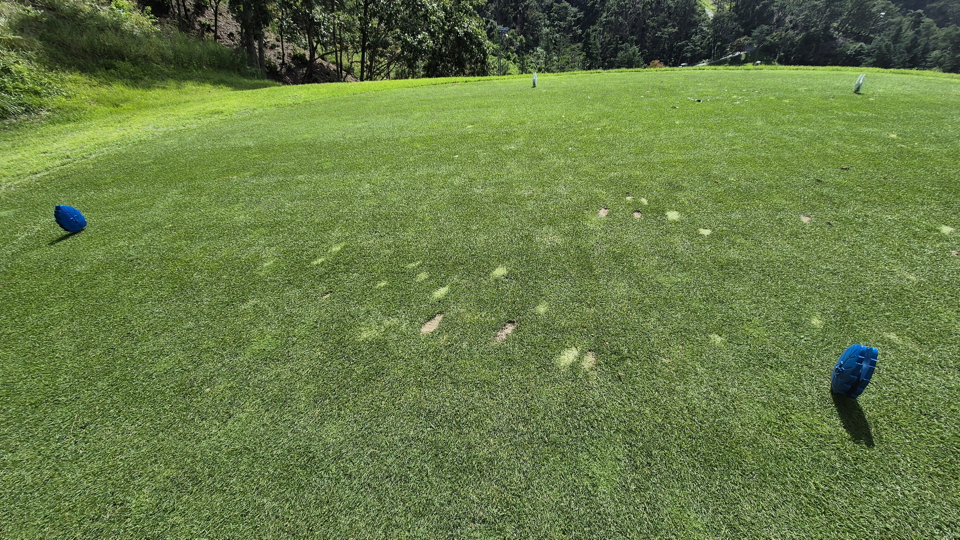 오크힐스cc 티잉구역 상태