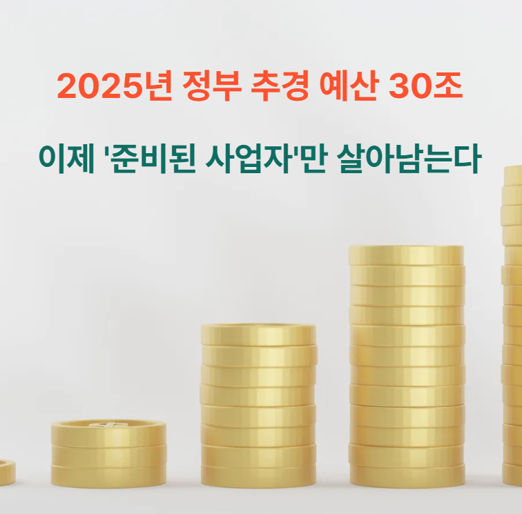 2025년-정부-추경-예산-30조,-이제-'준비된-사업자'만-살아남는다