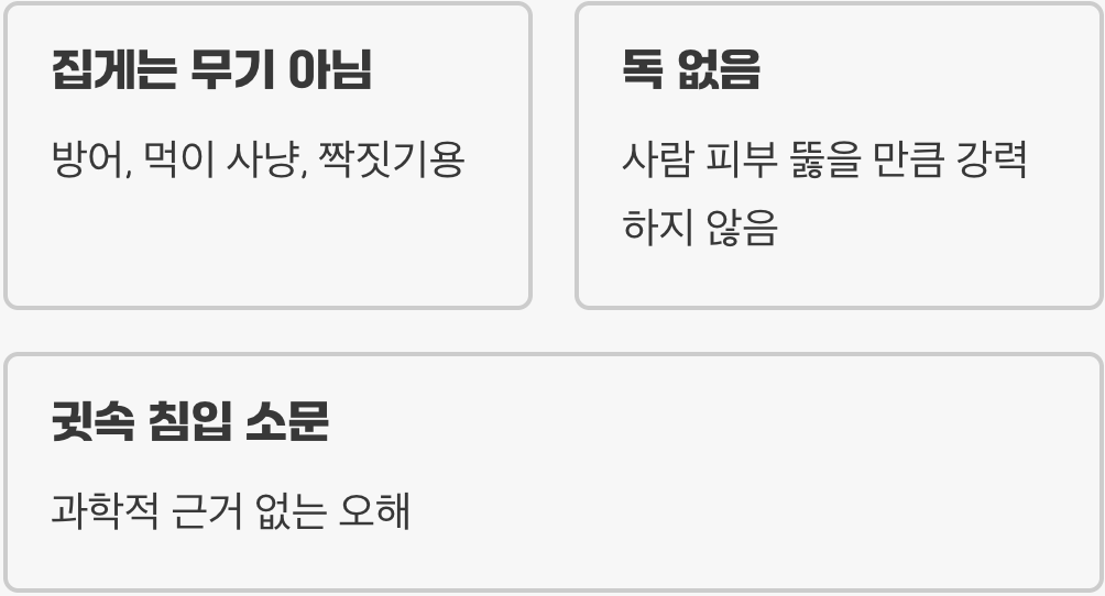 으스스한 외모 뒤에 숨겨진 오해