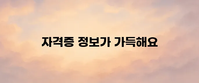 한국산업인력공단 큐넷 홈페이지 (www.q-net.or.kr)