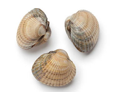 꼬막 삶는법, 꼬막 무침