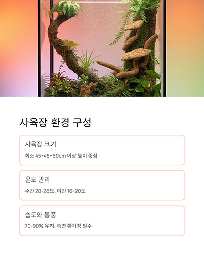 사육장 환경 구성, 입체적이고 시원하게