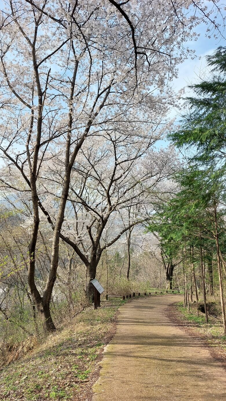 대아수목원 순환임도