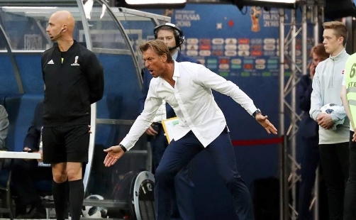 에르베 르나르 축구 국가대표 감독 러브콜 이유