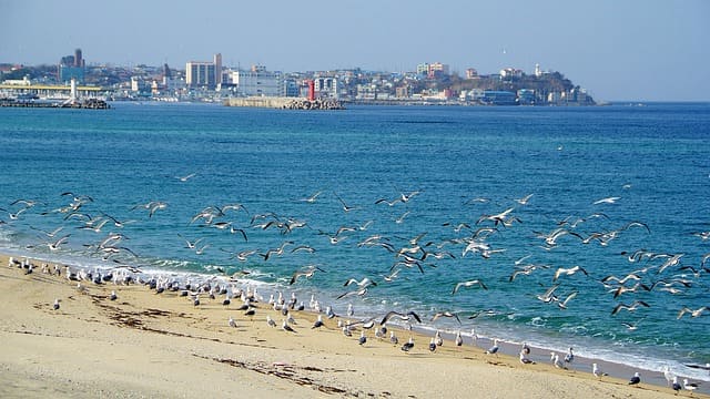 강원도 강릉 강릉 가볼만한곳 베스트10