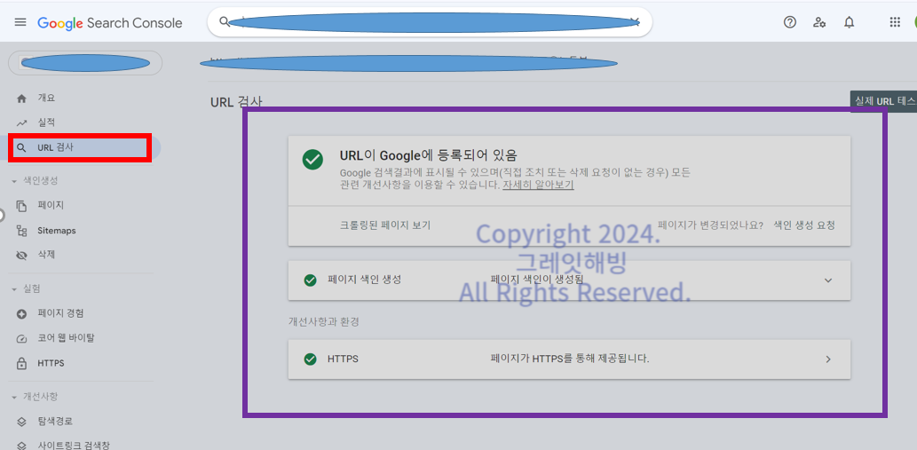구글 서치 콘솔 URL이 Google에 등록되어 있음