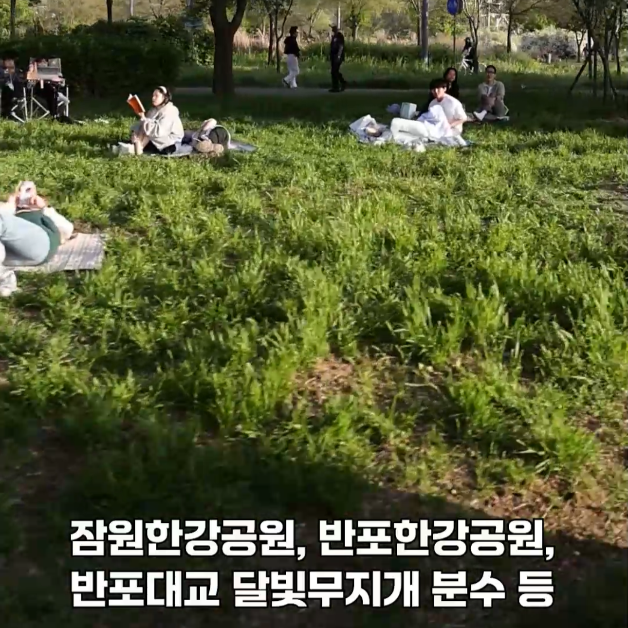 해치카 무료 셔틀버스 타는 법 요약