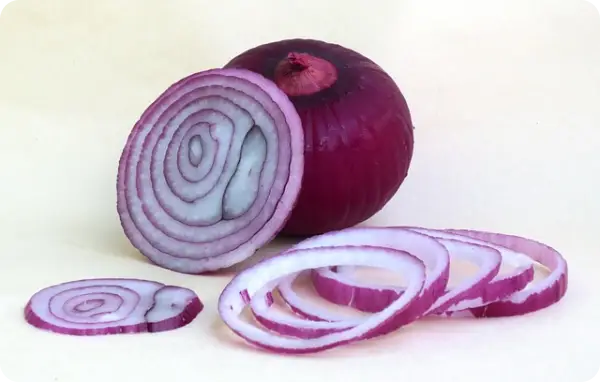 양파장아찌 담그는 법