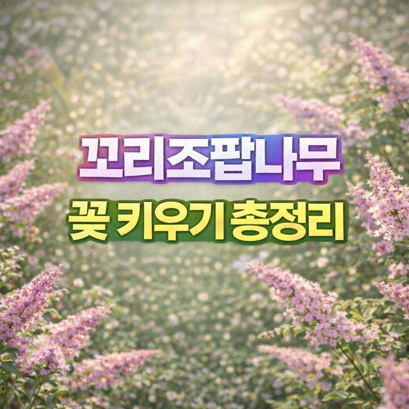 꼬리조팝나무 키우기, 꽃말·열매·물관리·번식·분갈이·가지치기·월동 썸네일