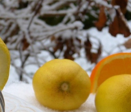 고혈압에 좋은 차