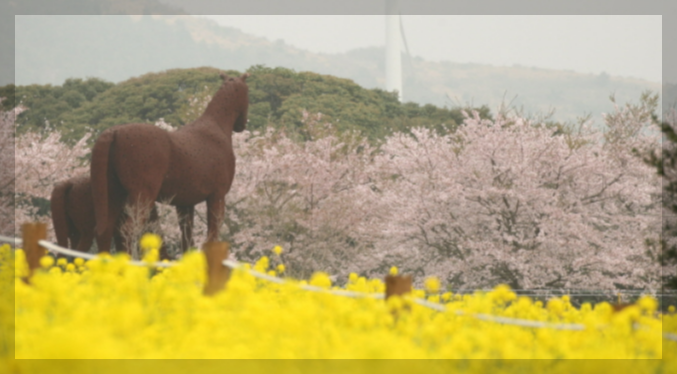 [한강 작별하지 않는다] 소설 작별하지 않는다 배경 의미 비하인드 스토리 악동뮤지션