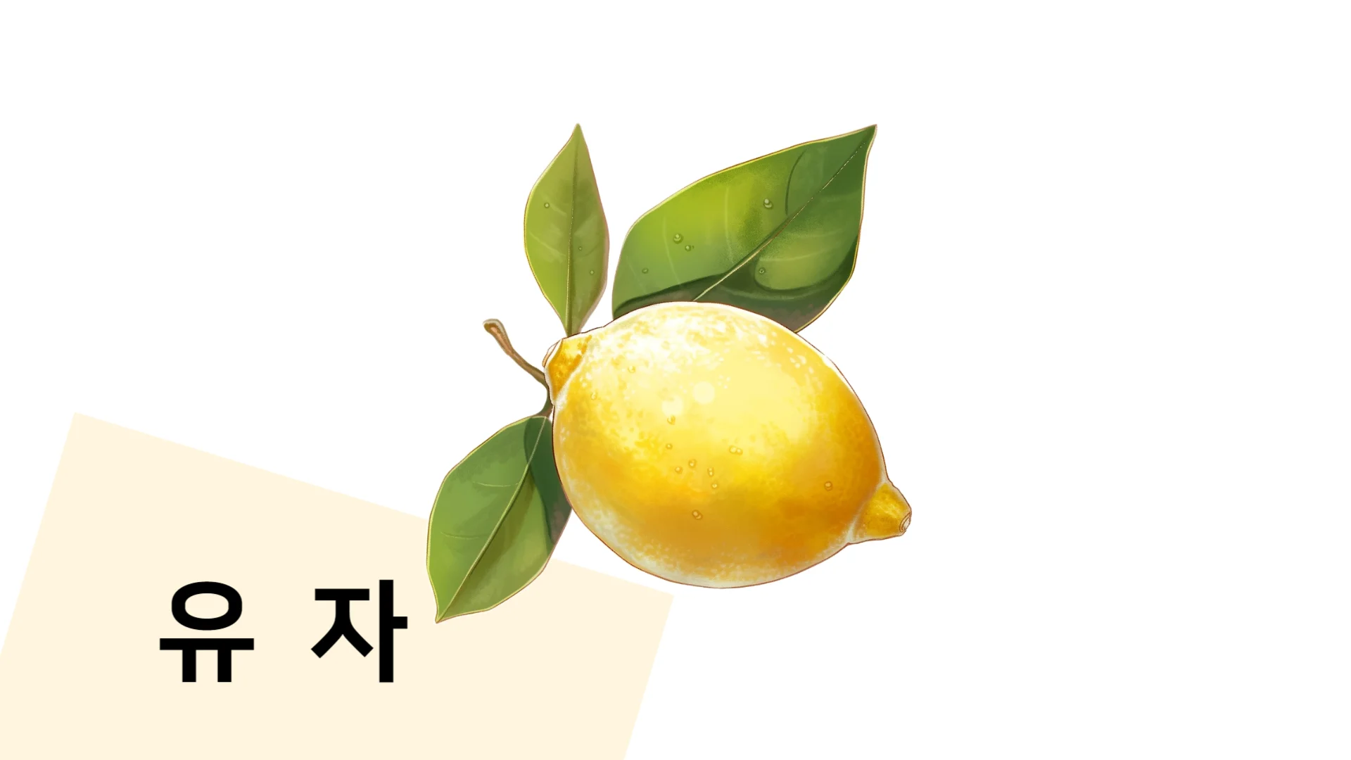 11월-제철-음식-7