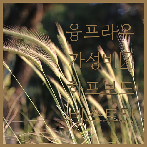 스위스 융프라우 여행 가성비 좋은 하..