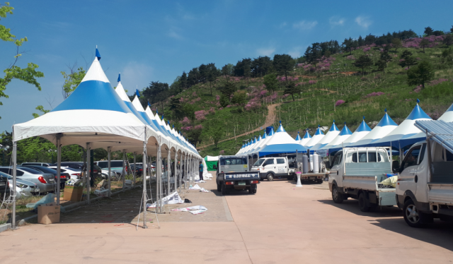 산청황매산 철쭉제