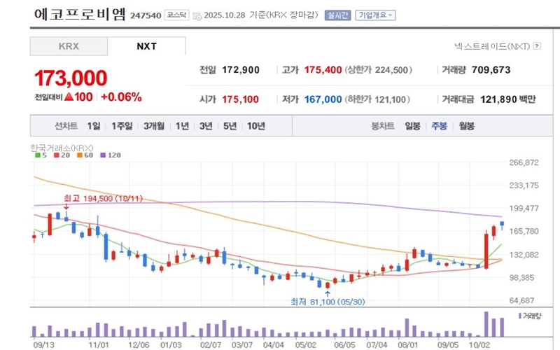 에코프로비엠 주가 주봉 그래프