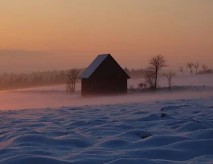 청년월세 한시 특별지원 신청 자격 