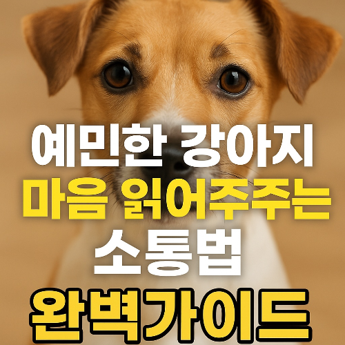 예민한 강아지 마음 읽어주는 소통법