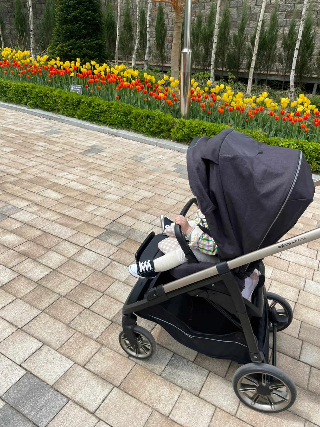 용인 자작나무숲 베툴라 대형 베이커피 카페