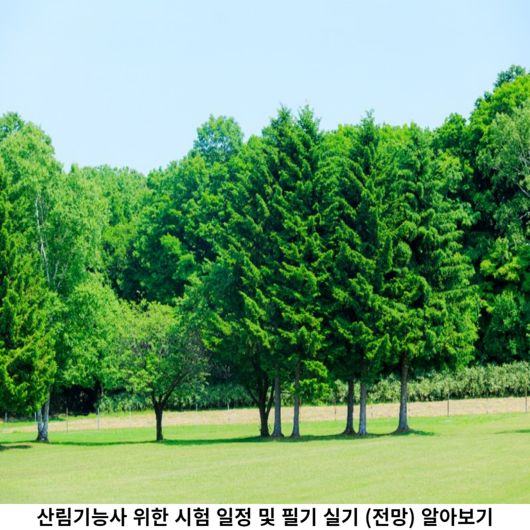 산림기능사 전망