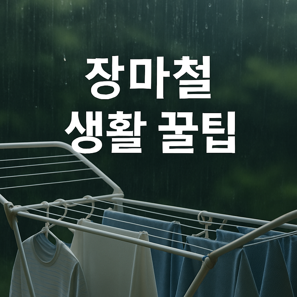 장마철 생활정보 (날씨, 옷건조, 방지법)