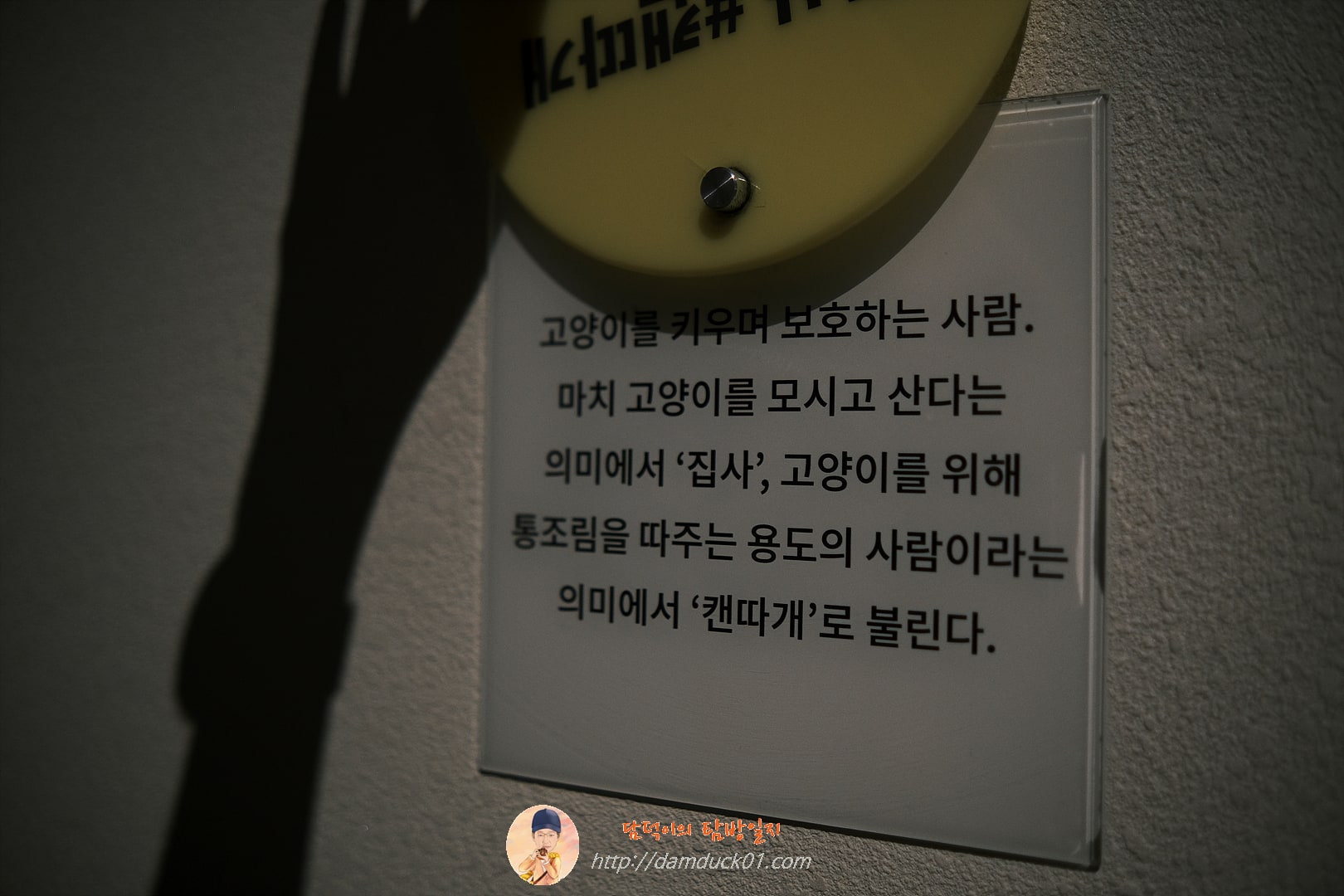 안방을 차지한 고양이