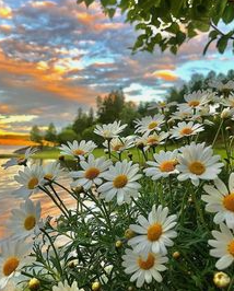 6월 공모주 청약일정 