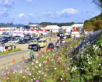 강경 젓갈축제_4