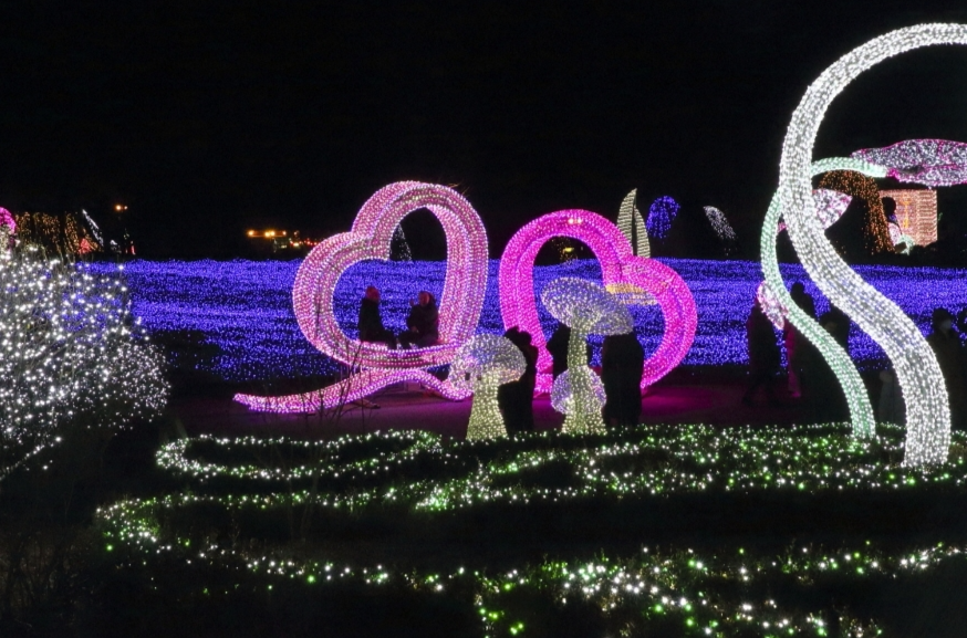 오색별빛정원전