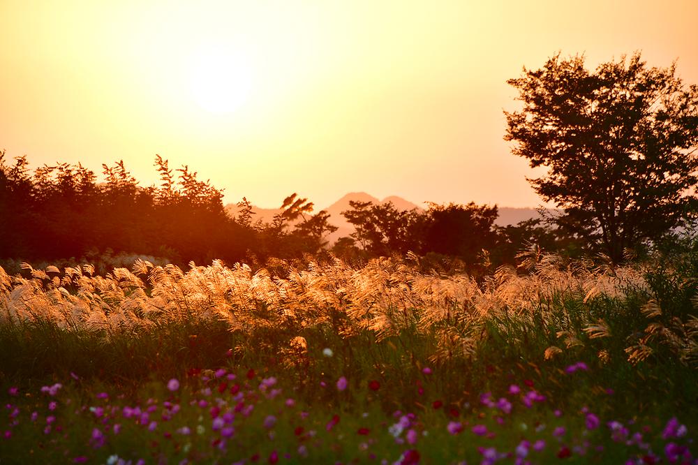 경남 밀양아리랑 오토캠핑장 소개