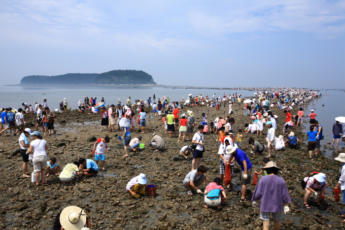 신비의 바닷길 갯벌 체험