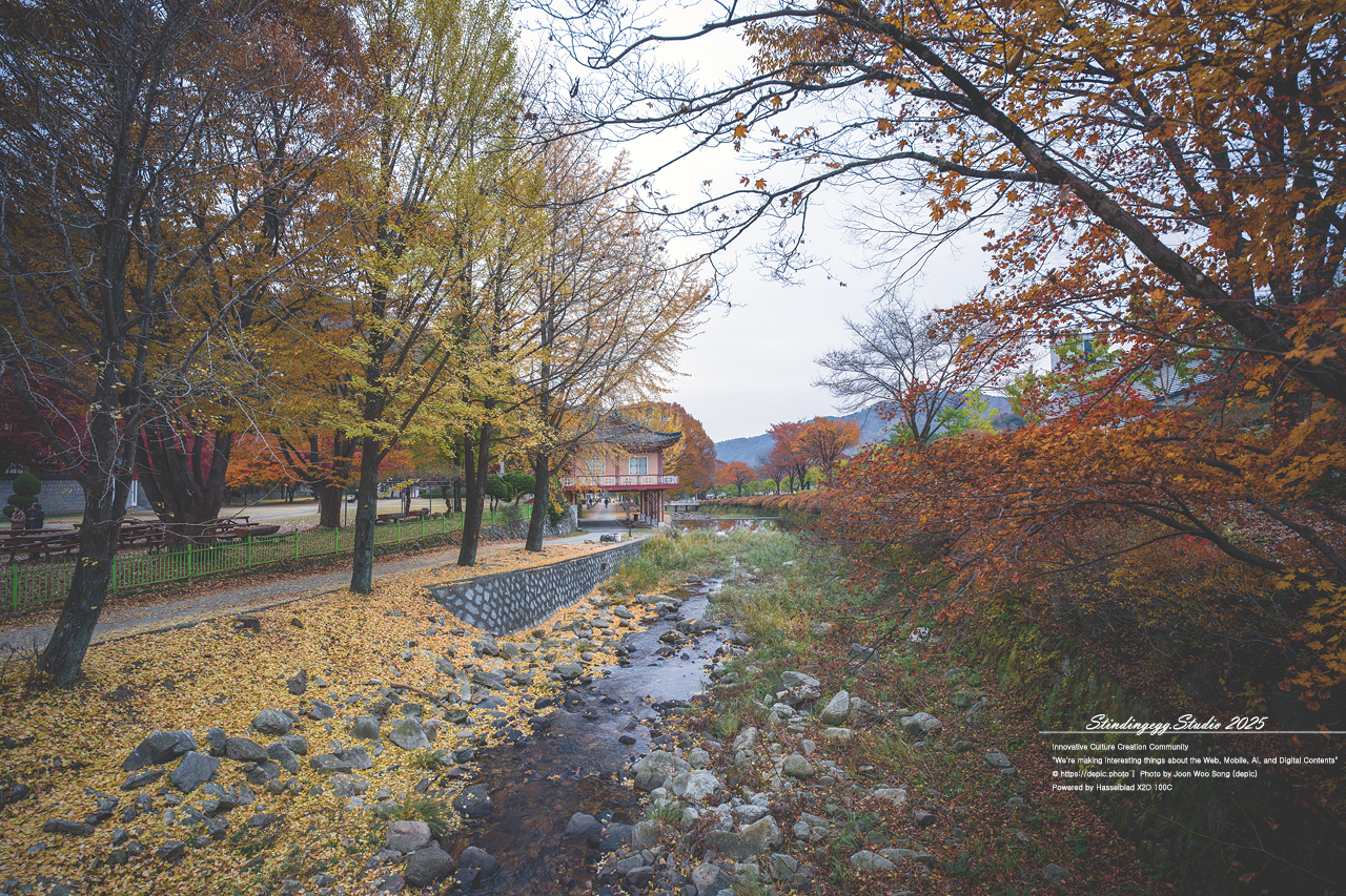 #가톨릭 #성지 #배론 #배론성지 #단풍 #가을