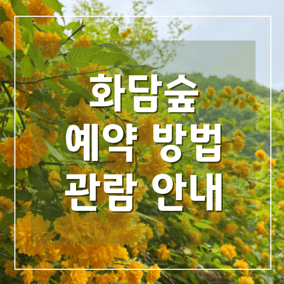 화담숲 예약 입장료 화담채