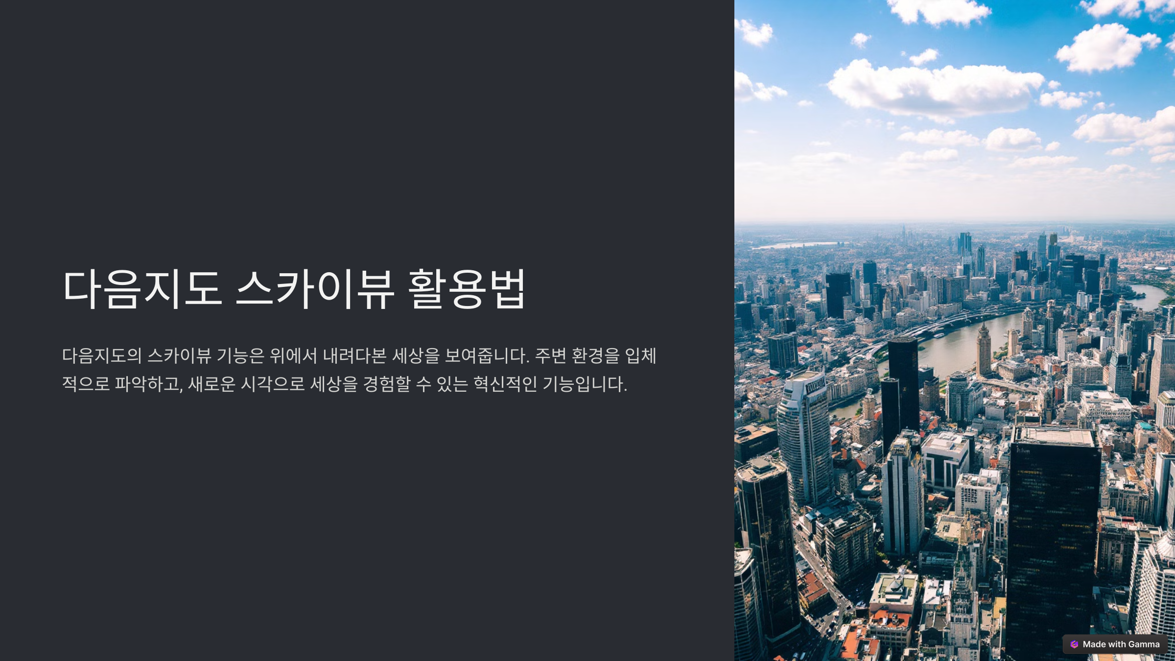 스카이뷰란 무엇인가요?
