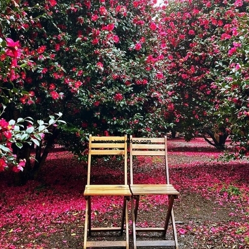 1월 여행지 추천