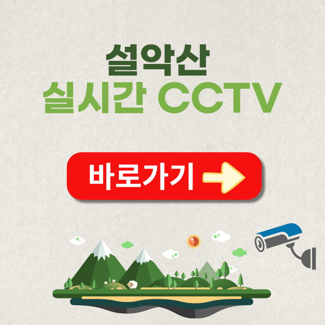 설악산 실시간 cctv 케이블카 코스