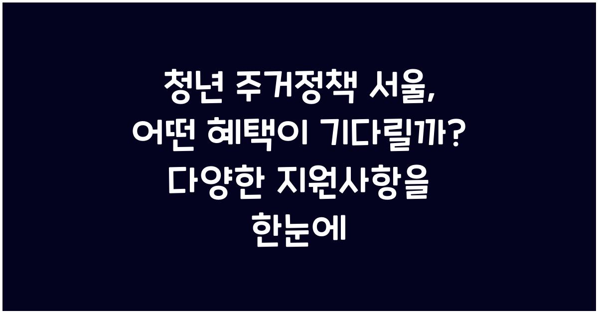 청년 주거정책 서울