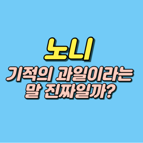 노니 효능 부작용