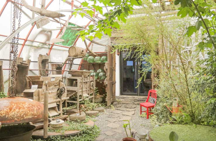 6시내고향 한라봉 제주 서귀포시 쇠소깍산물관광농원