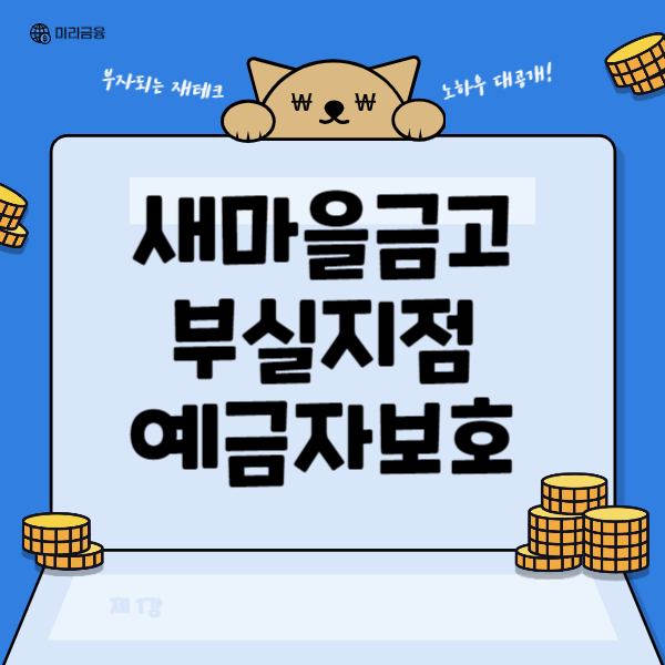 새마을금고 예금자보호