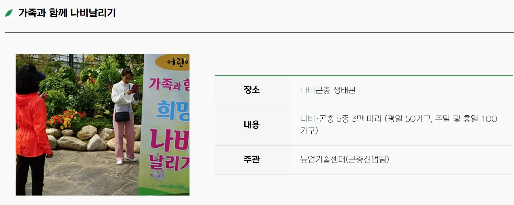 함평나비축제 기간, 주차장, 행사내용