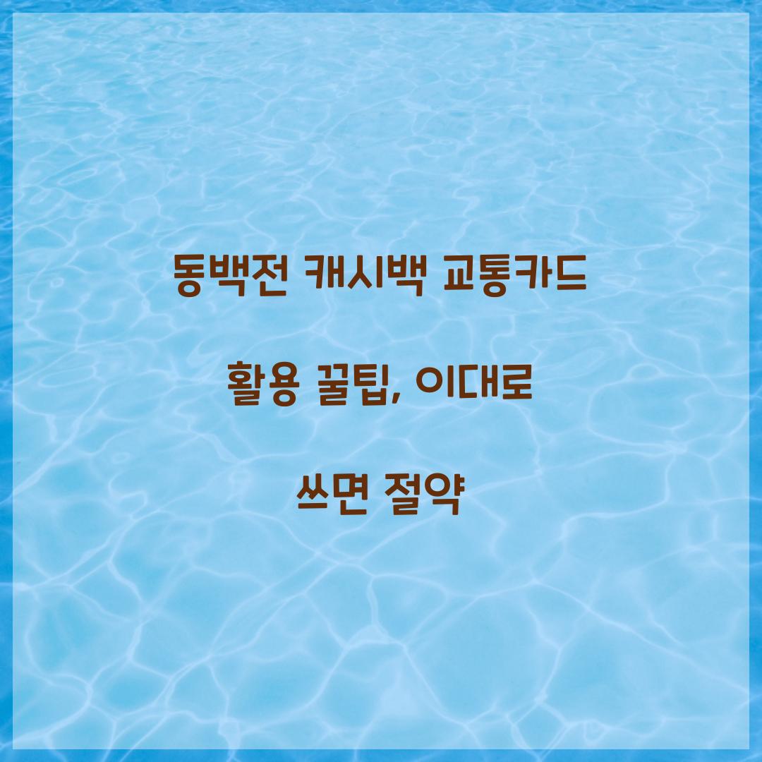 동백전 캐시백 교통카드