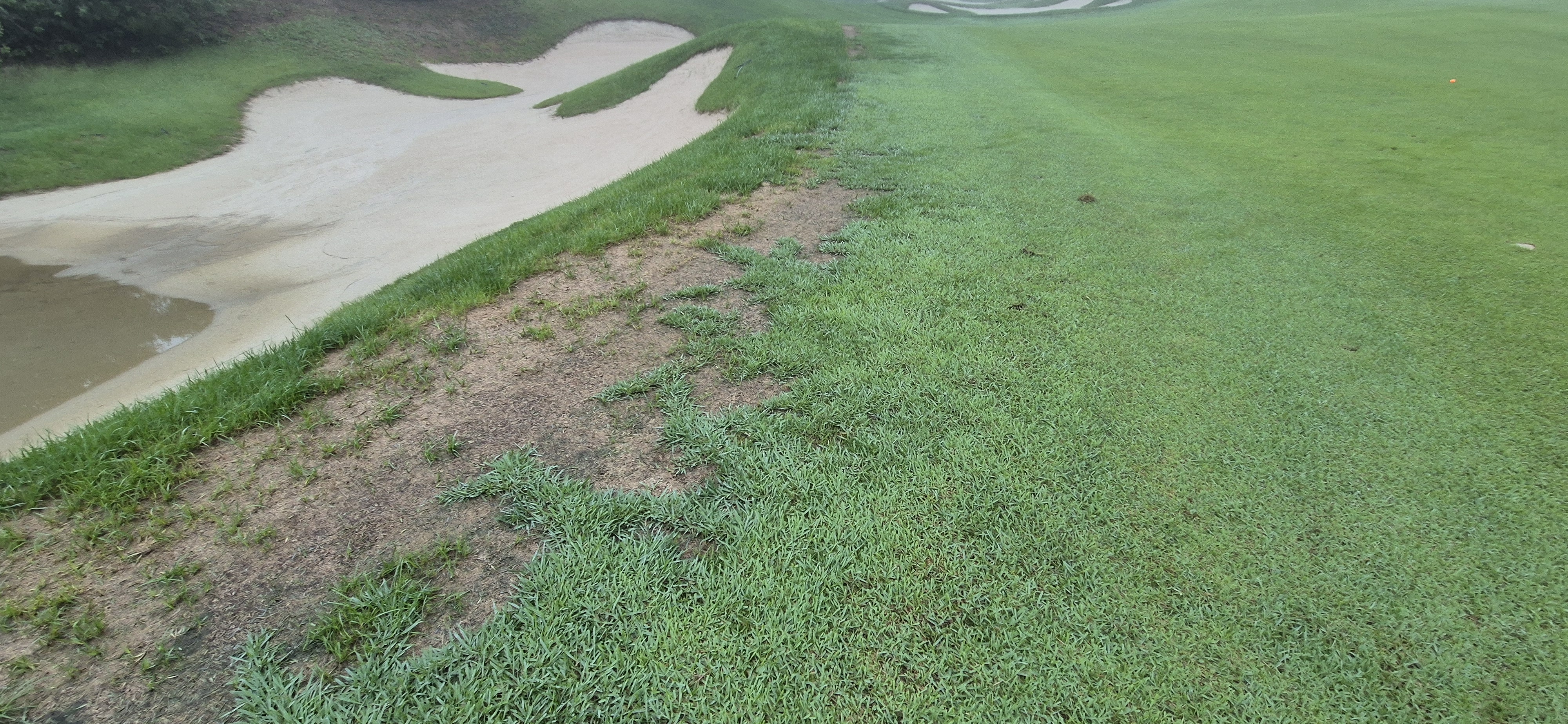 더플레이어스cc