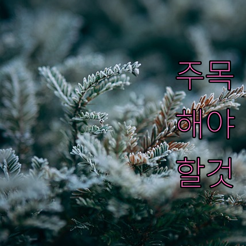 개인회생, 빚 탕감의 기회? 법원 인