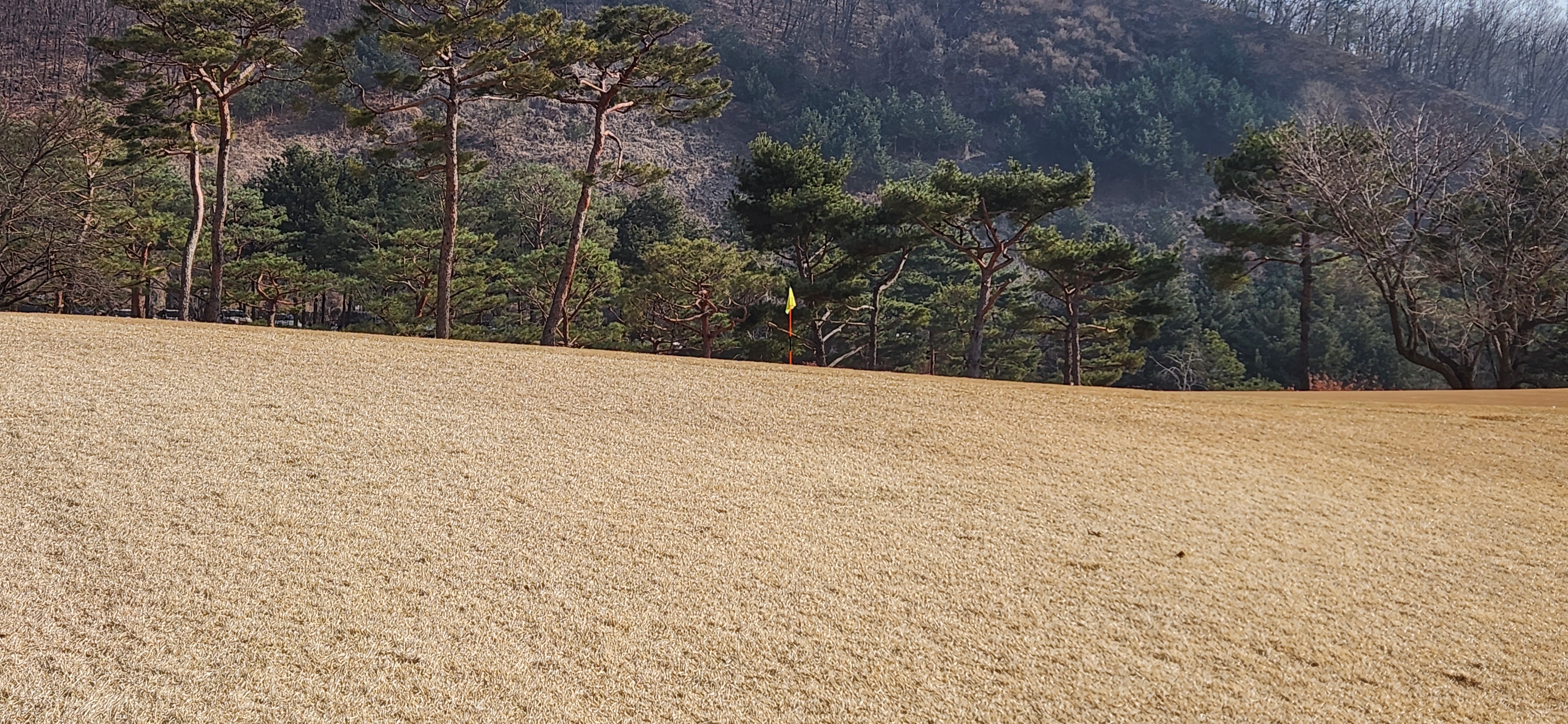 서원밸리cc