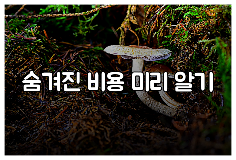 숨겨진 비용 미리 알기