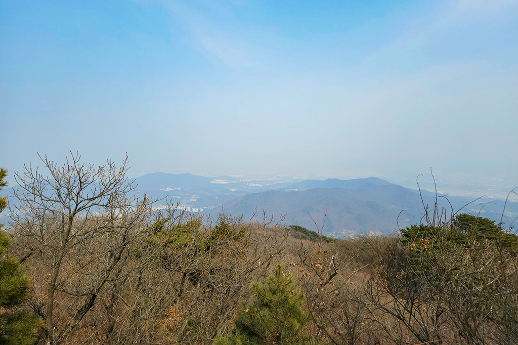 청계산 중턱에서 본 풍경. 흐리고 먼지 많은 날.