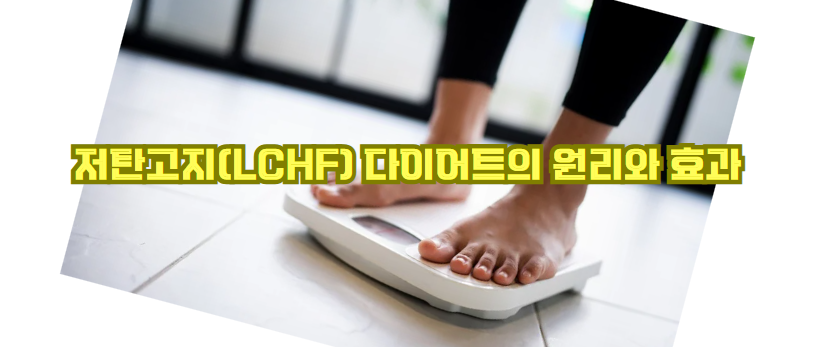 저탄고지(LCHF) 다이어트의 원리와 효과