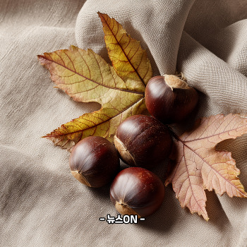 냉동밤 삶는 방법