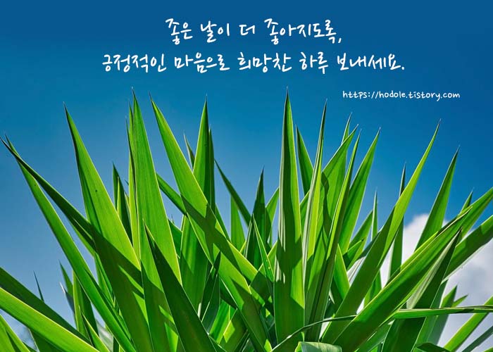 좋은날이-더좋아지도록